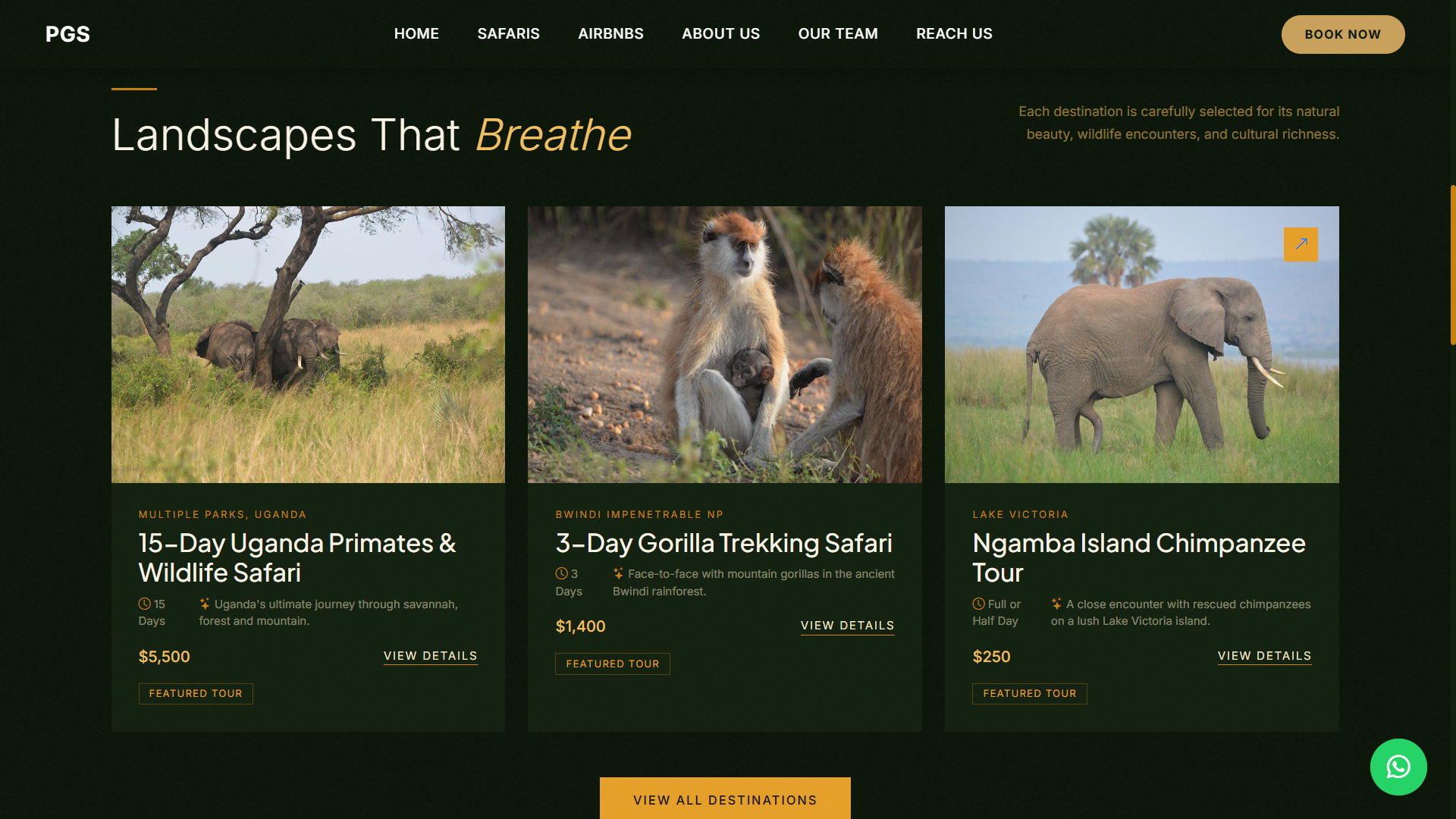 Paraxerus Gorilla Safaris
